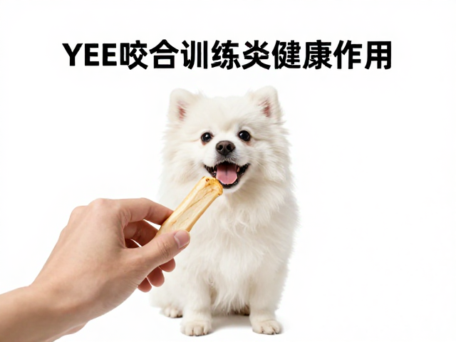 YEE喙部护理，如何通过可啃咬咬合训练改善宠物口腔健康