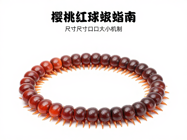 ReptiZoo瑞皮樱桃红球蜈蚣尺寸与开口大小指南