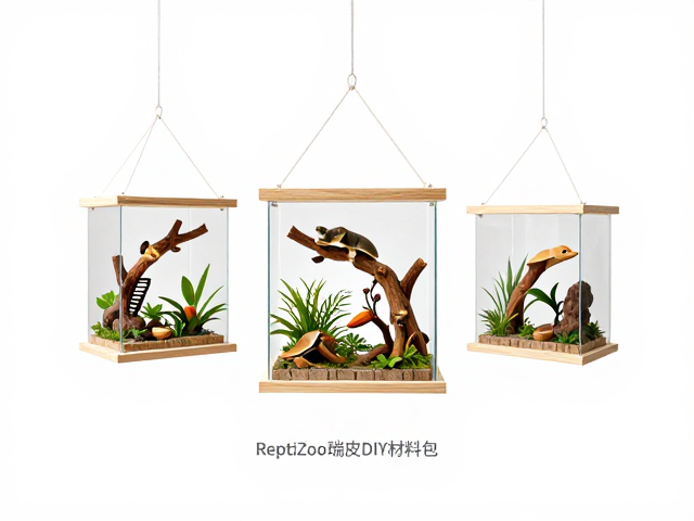 ReptiZoo瑞皮DIY材料包,打造创意悬浮悬挂式爬宠生态造景指南