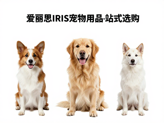 爱丽思IRIS宠物用品一站式选购,精准匹配不同体型爱宠