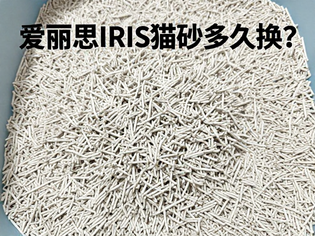 爱丽思IRIS猫砂多久换？按年龄阶段定期更换更卫生