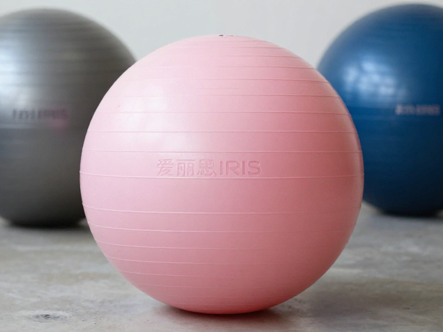 爱丽思IRIS球类全品类推荐,家用健身与户外运动怎么选?
