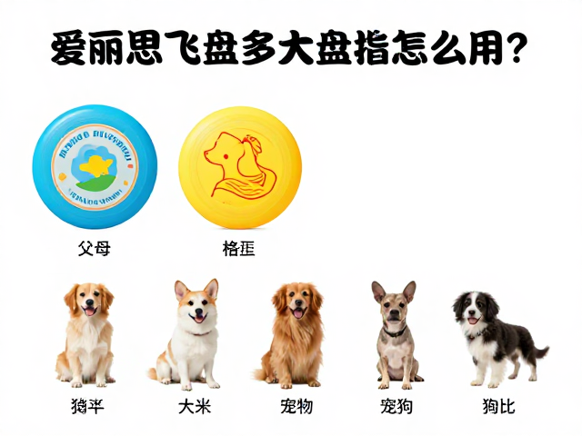 爱丽思飞盘适合多大年龄？各阶段狗狗选飞盘指南
