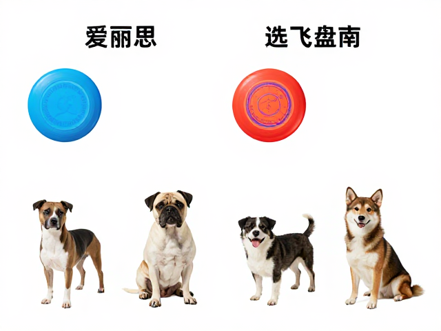 爱丽思飞盘适合多大年龄？各阶段狗狗选飞盘指南