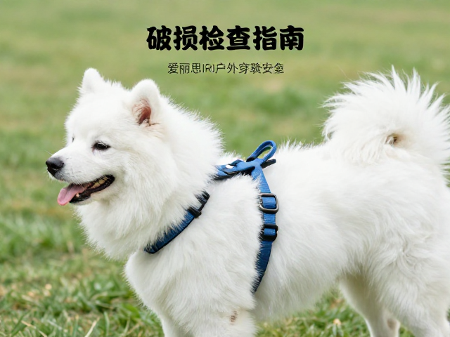 爱丽思IRIS户外遛弯前必做，破损检查指南，守护爱宠安全