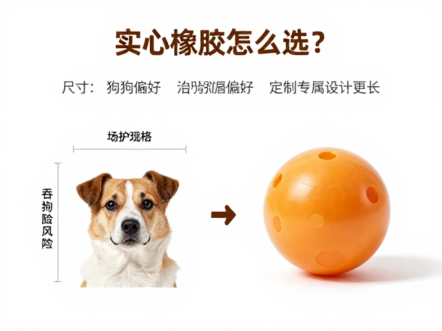 实心橡胶球怎么选？观察狗狗偏好，定制专属设计更护牙