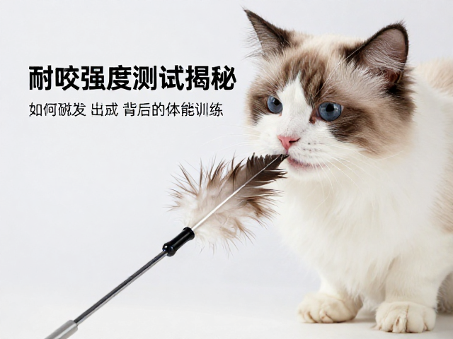 耐咬强度测试揭秘,羽毛逗猫棒如何激发猫咪捕猎本能训练