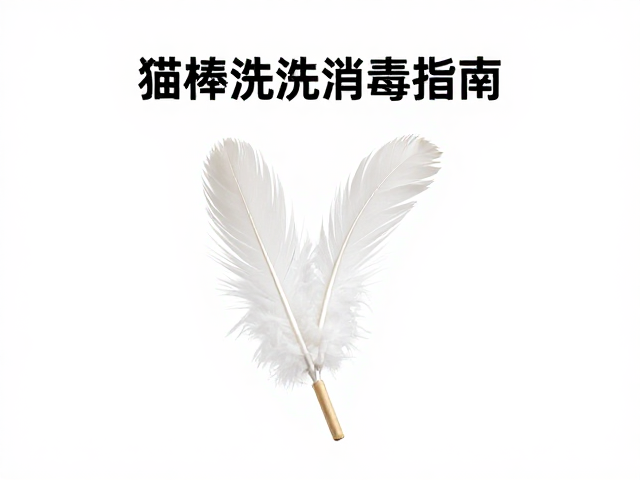 羽毛逗猫棒清洗消毒指南,保持逗弄互动的卫生与乐趣