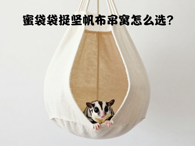 蜜袋鼯悬挂帆布吊窝怎么选？定期消毒更换全攻略