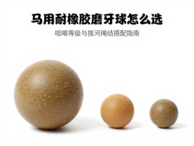 马用耐啃橡胶磨牙球怎么选?咀嚼等级与拔河绳结搭配指南