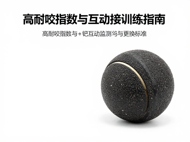 马用耐啃橡胶磨牙球,高耐咬指数与互动抛接训练指南