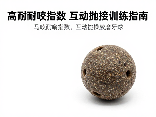 马用耐啃橡胶磨牙球,高耐咬指数与互动抛接训练指南