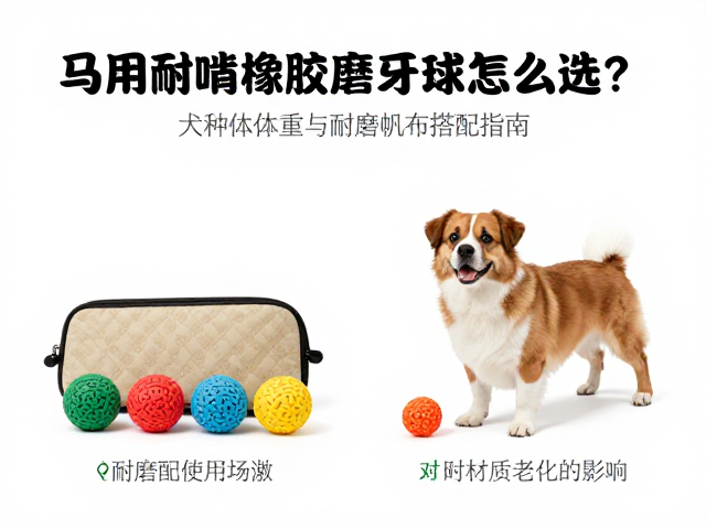 马用耐啃橡胶磨牙球怎么选？根据犬种体重与耐磨帆布搭配指南