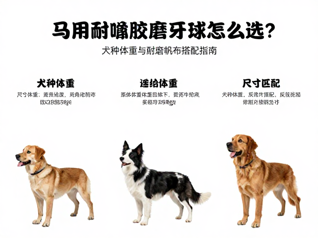 马用耐啃橡胶磨牙球怎么选？根据犬种体重与耐磨帆布搭配指南