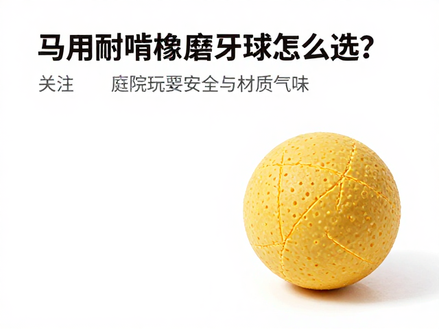 马用耐啃橡胶磨牙球怎么选?关注庭院玩耍安全与材质气味