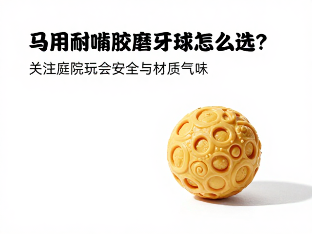 马用耐啃橡胶磨牙球怎么选?关注庭院玩耍安全与材质气味