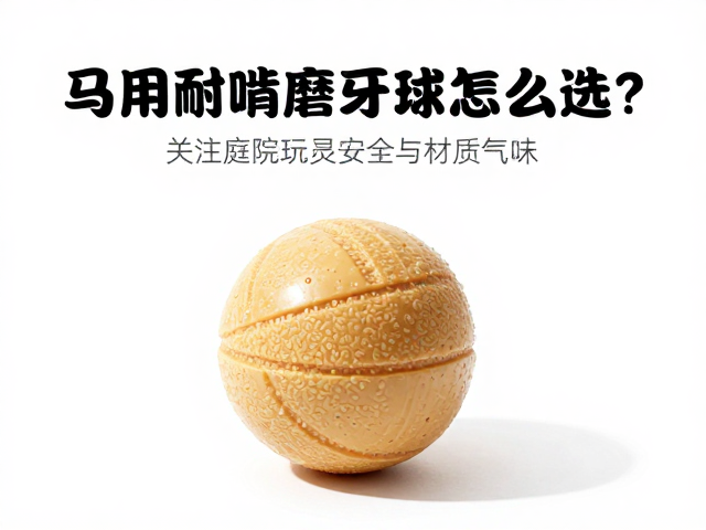 马用耐啃橡胶磨牙球怎么选?关注庭院玩耍安全与材质气味