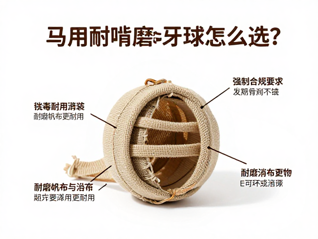 马用耐啃橡胶磨牙球怎么选?搭配定期消毒与耐磨帆布更耐用