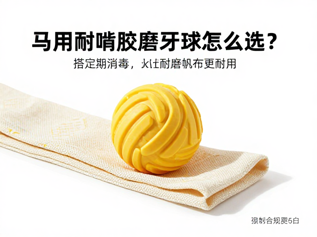 马用耐啃橡胶磨牙球怎么选?搭配定期消毒与耐磨帆布更耐用