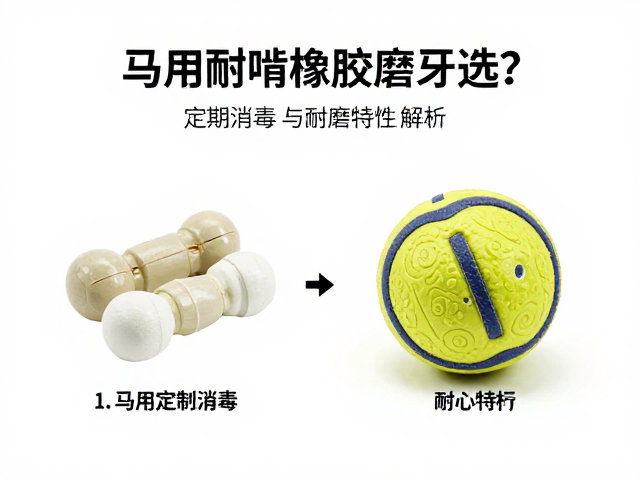 马用耐啃橡胶磨牙球怎么选?搭配定期消毒与耐磨帆布更耐用