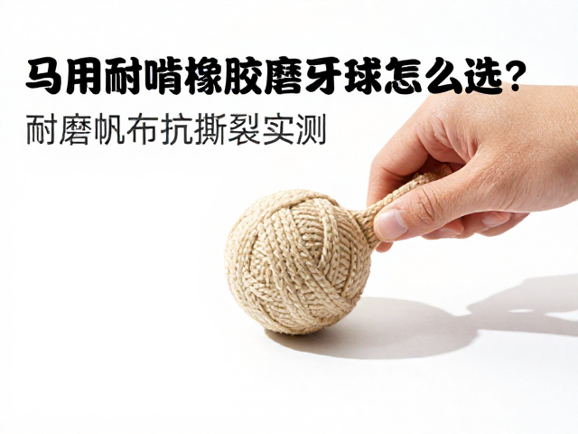 马用耐啃橡胶磨牙球怎么选？耐磨帆布抗撕裂实测