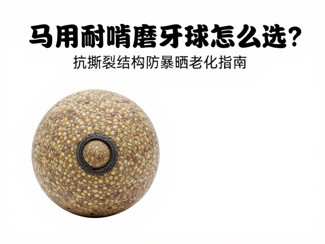 马用耐啃橡胶磨牙球怎么选？抗撕裂结构防暴晒老化指南