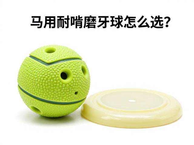 马用耐啃橡胶磨牙球怎么选？搭配大型飞盘与训练奖励提升互动乐趣