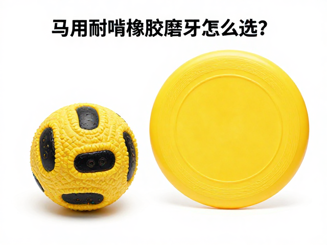 马用耐啃橡胶磨牙球怎么选？搭配大型飞盘与训练奖励提升互动乐趣