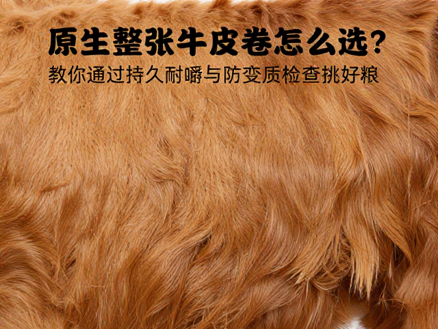 原生整张牛皮卷怎么选?教你通过持久耐嚼与防变质检查挑好粮