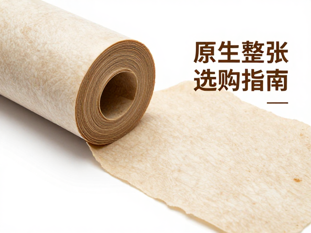原生整张牛皮卷选购指南，牛皮特性与定期口腔检查的重要性