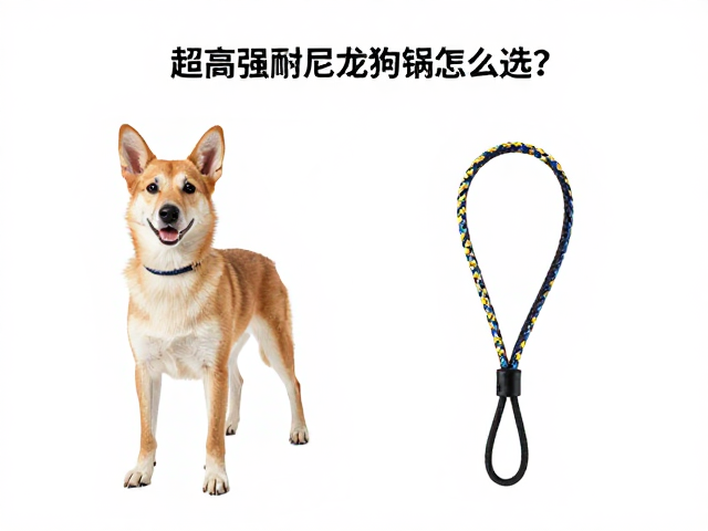 超高强耐磨尼龙狗绳怎么选?根据犬种体型搭配编织工艺
