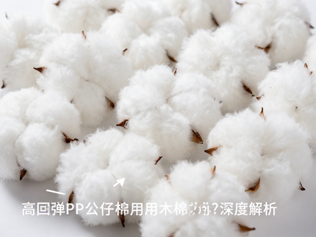 高回弹PP公仔棉用木棉环保吗?天然高端可回收材料深度解析