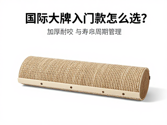 加厚耐咬橡胶玩具，剑麻猫抓板，国际大牌入门款怎么选？