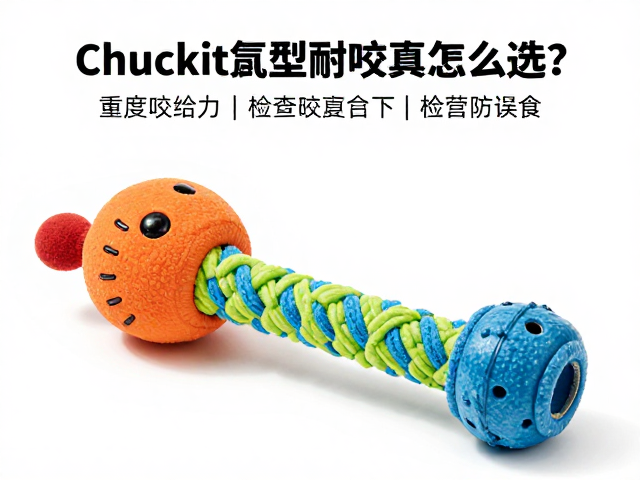 Chuckit巨型耐咬玩具怎么选?重度咬合力下如何检查破损防误食