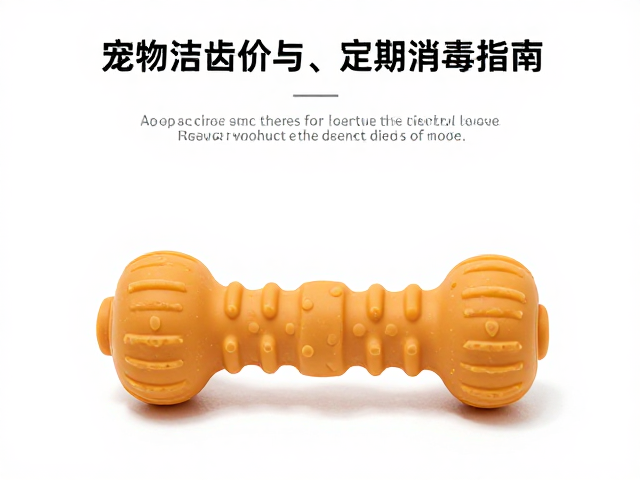 食品级硅胶重型耐咬玩具，宠物洁齿与定期消毒指南