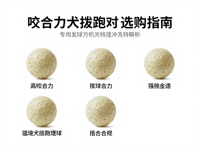 自动发球机专用替换球,高咬合力犬拔河对抗测试与选购指南
