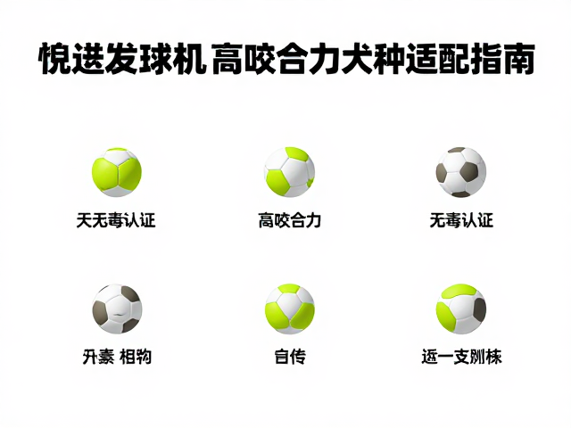 自动发球机专用替换球,无毒认证,高咬合力犬种适配指南