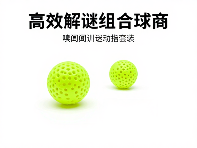 自动发球机专用替换球,嗅闻解谜组合套装,高效训练提升球商