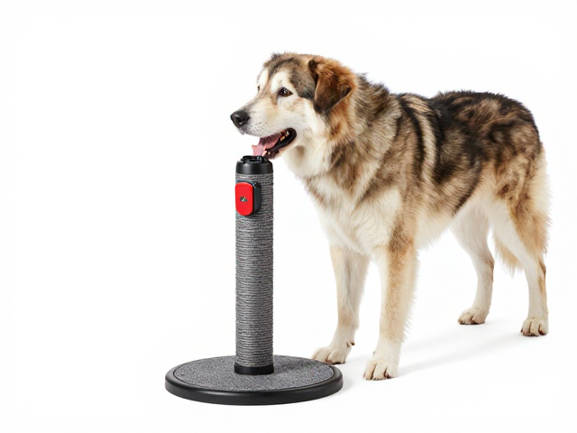 大型犬磨牙柱搭配尼龙吊绳,利用互动感应器提升宠物趣味