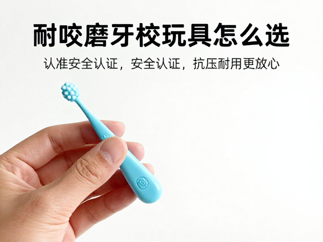 耐咬磨牙橡胶玩具怎么选?认准安全认证,抗压耐用更放心