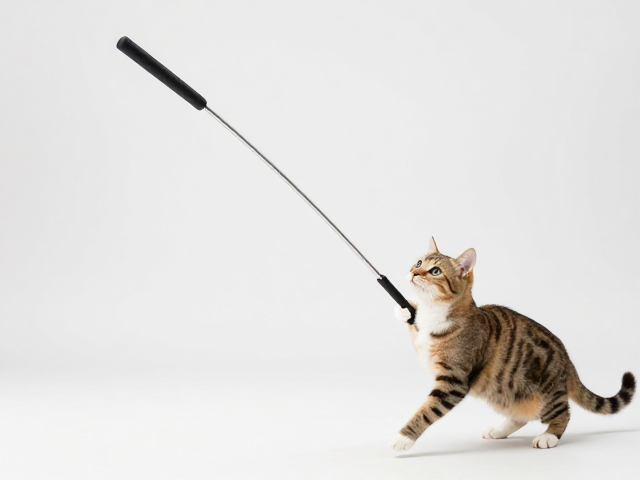 伸缩杆逗猫棒尺寸匹配口型,专属陪伴互动让爱宠更开心
