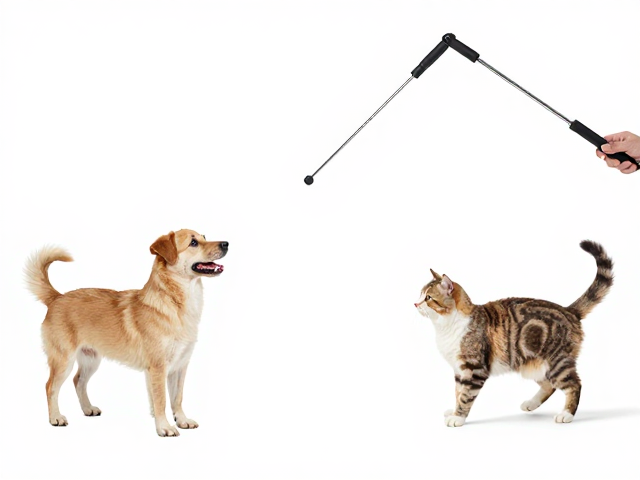 Petstages伸缩杆逗猫棒,中小型犬猫互动的趣味选择