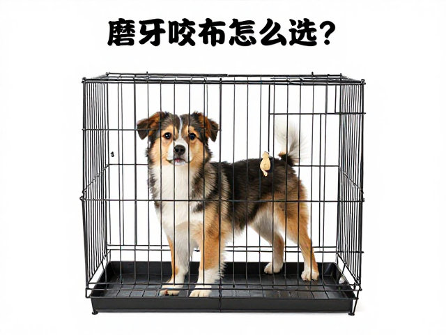 笼挂悬挂磨牙咬条怎么选?依犬体型定尺寸,助笼内适应期训练