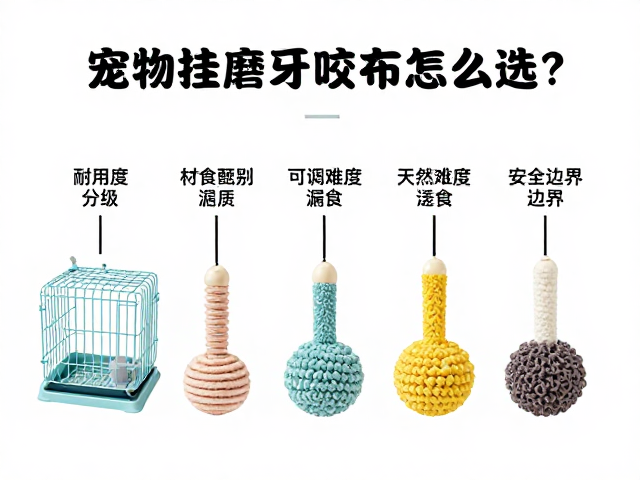 宠物笼挂磨牙咬条怎么选?耐用度分级与可调难度漏食全攻略