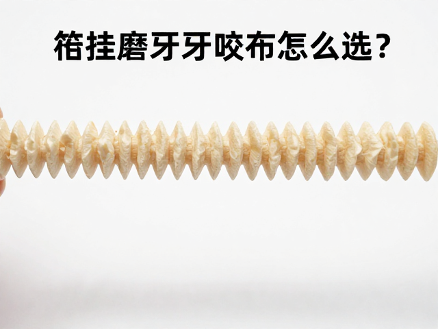 笼挂悬挂磨牙咬条怎么选?看啃咬强度与警惕尖锐边角