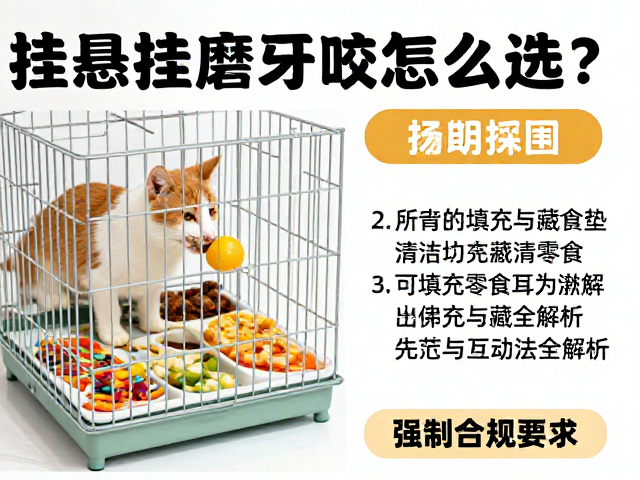 笼挂悬挂磨牙咬条怎么选?可填充零食与藏食垫互动玩法全解析