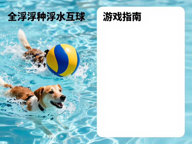 全浮力浮水互动球,游泳型犬种专属抛接游戏指南