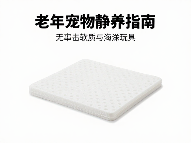 老年宠物静养指南,无冲击软质泡沫玩具推荐与低强度互动方案