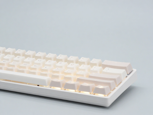 真空脱泡机怎么选?搞定全域透光键帽DIY,小众热门不踩坑