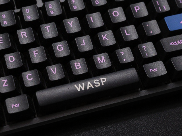 WASP Keycaps紧凑型电竞键帽,低字符高度设计,有效防误触提升游戏表现